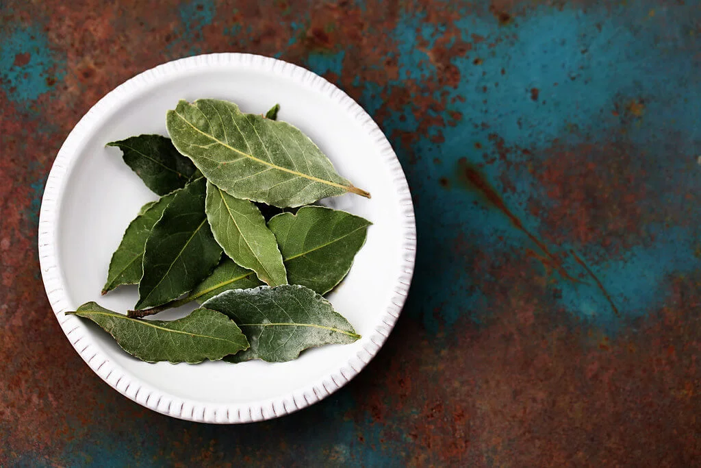 Bay Leaves on a Plate