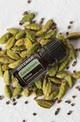 Doterra Cardamom Essential Oil