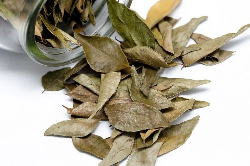 Dried Bay Leaves from a Jar