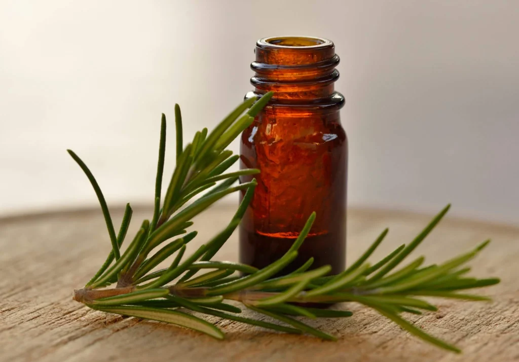 Rosemary Essential Oil by Ralph Cleverdon