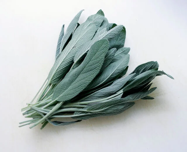 Sage by eat & Talk Kelly