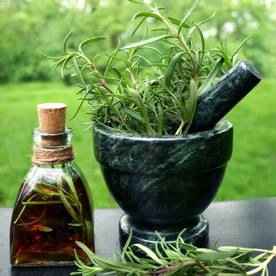 Hungarian Queens Water a Rosemary Herbal concoction by Steve