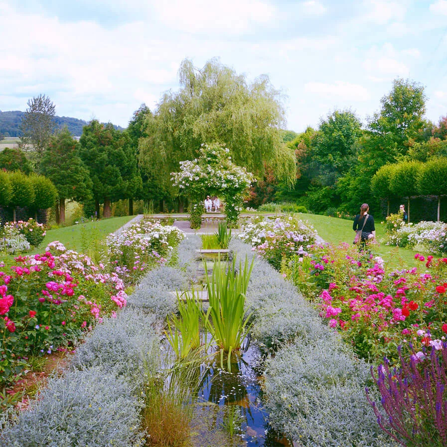 Sage in English Country Garden by El2deepblue