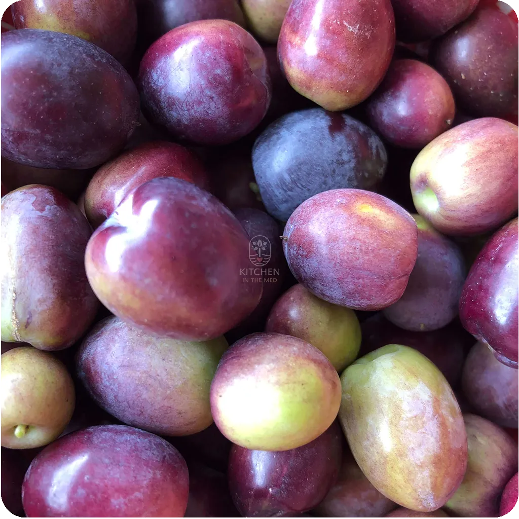 olive mini harvest