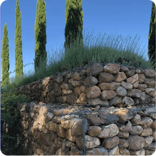 Rock Gavians by Alberto Conde Kitchen in the Med